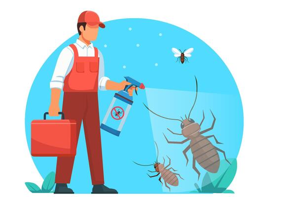 Insect Killers & Sprays