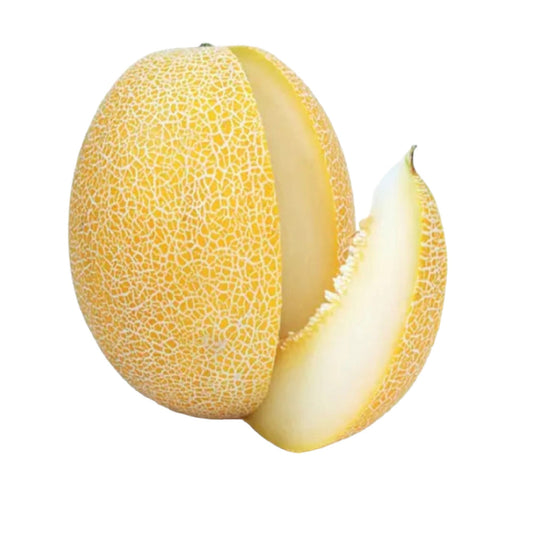 Cantaloupe