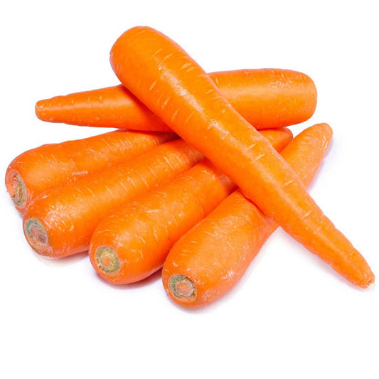 Carrot China / Gajjar China