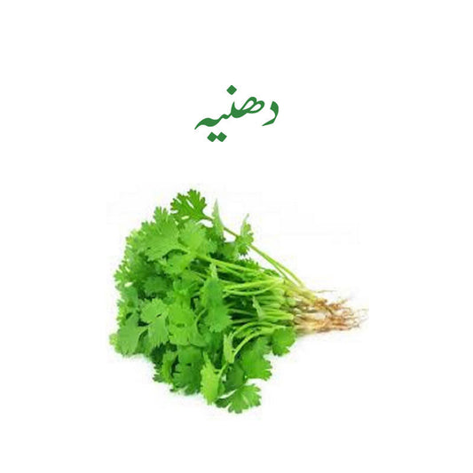 Coriander / Dhania