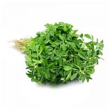 Fenugreek - میتھی