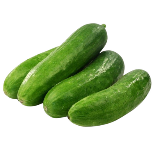 Fresh Cucumber / Kheera