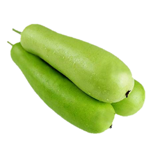 Bottle Gourd Long / Loki