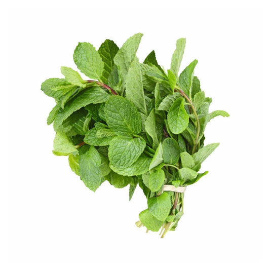 Mint / Podina