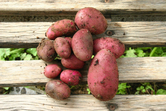Potatoes / Aalu